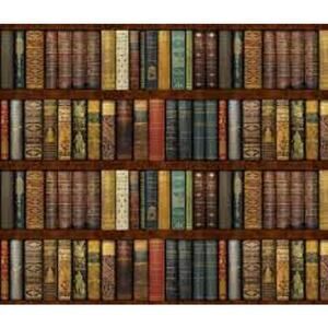 Spoonflower New Instant Library With Shelves Prepasted Removable Smooth 12'